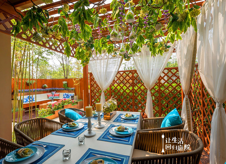 前后张望南阳50年：这样的庭院，，，，，，很难再有了！