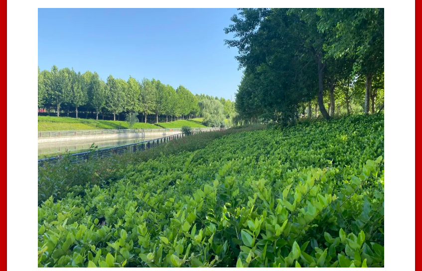 年终薅好房，，，，，这个明星红盘把“出圈”举行究竟！